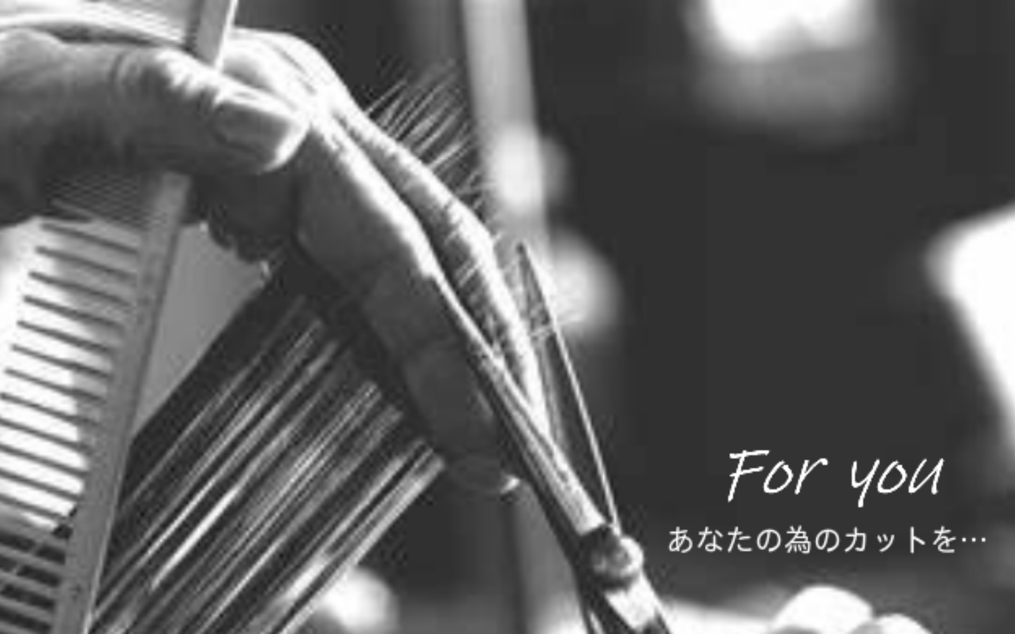 カットイメージ